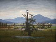 Caspar David Friedrich, Landscape with Solitary Tree